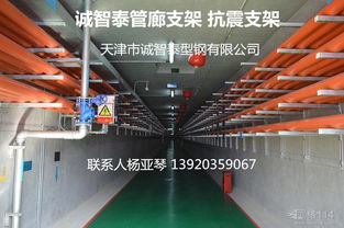 价格 厂家  